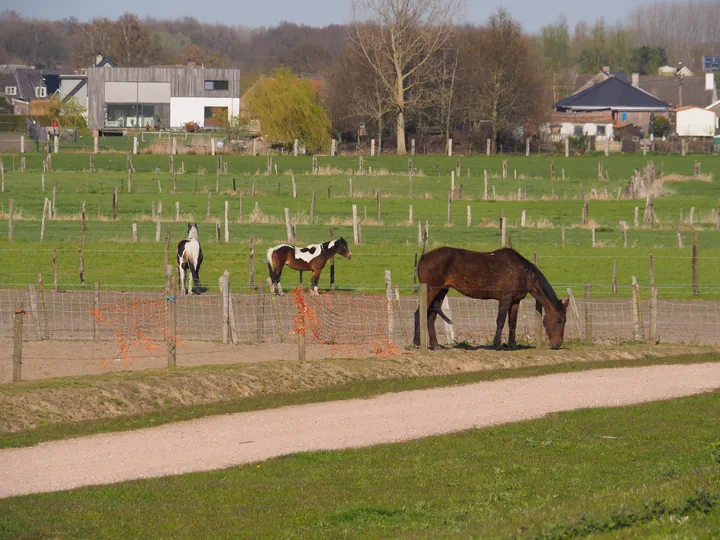 Kalkense Meersen (België)